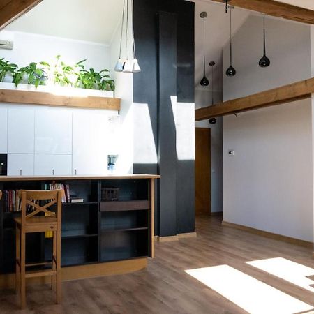 Apartmán Loft W Centrum Gliwic Hlivice Exteriér fotografie