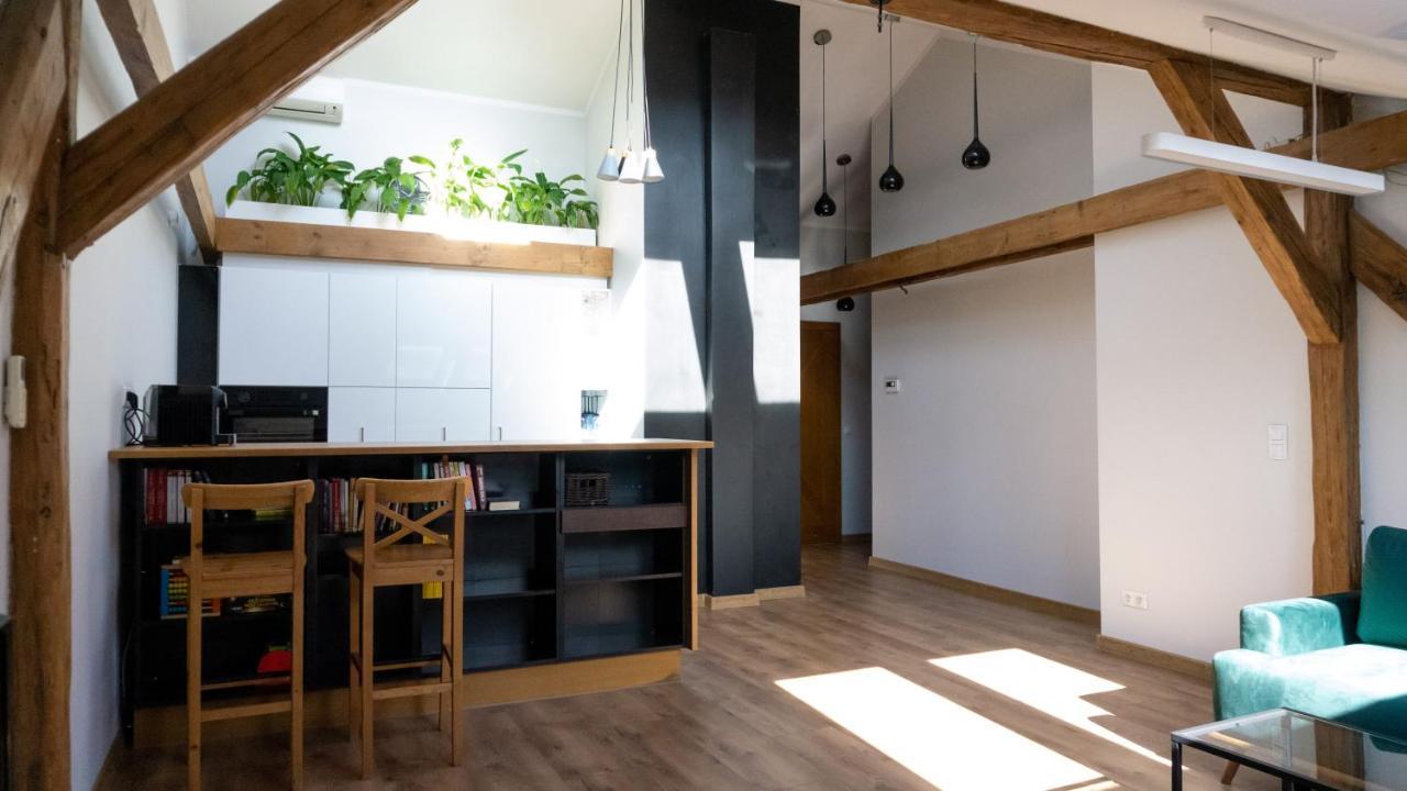 Apartmán Loft W Centrum Gliwic Hlivice Exteriér fotografie